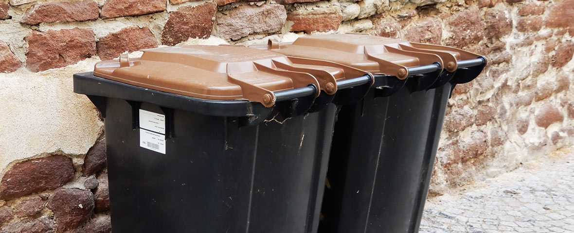 Foto: Zwei Biotonnen stehen zur Leerung bereit