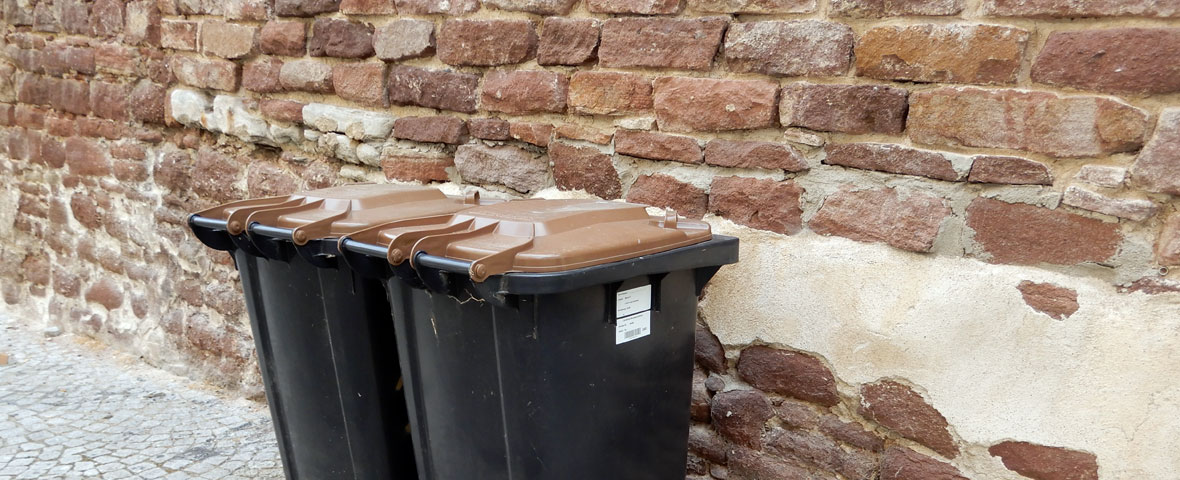 Foto: zwei Biotonnen in Eisleben