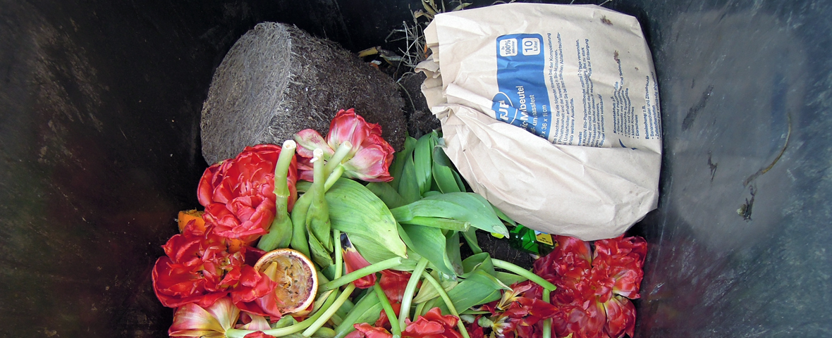 Foto: Blick in eine Biotonne mit Biosack aus Papier