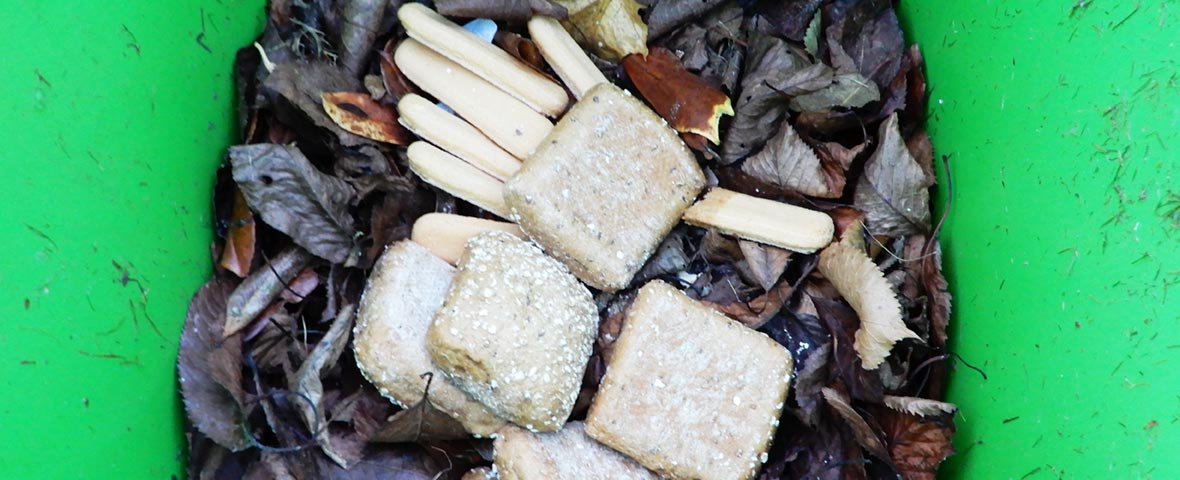 Lebensmittelabfälle in einer Biotonne